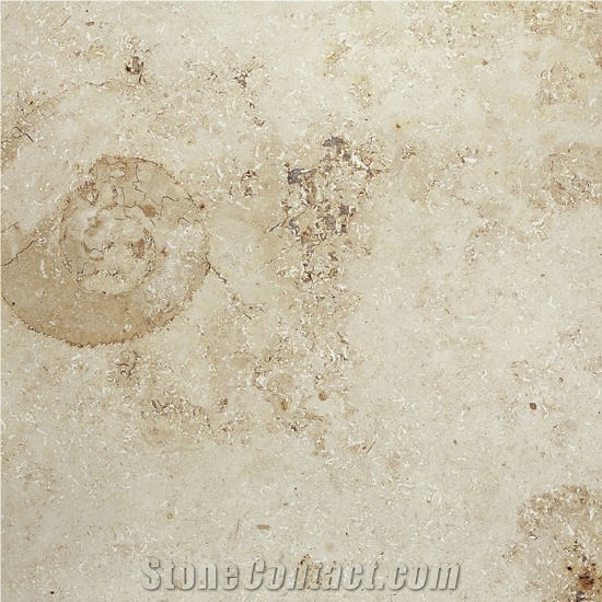 Jura Beige Honed Limestone from United States65348