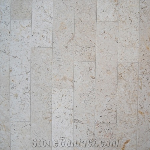 Jerusalem Bone Honed, Hebron Bone Limestone Slabs from United States
