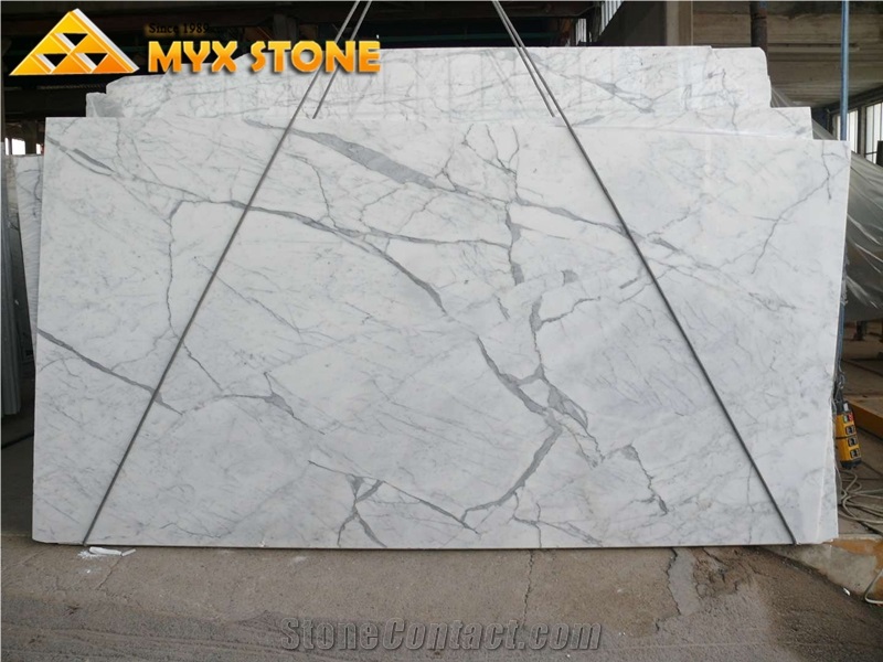 Bianco Venato Carrara Italy White Marble Slabs From China