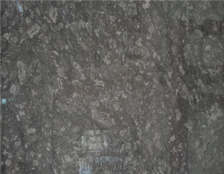 Night Paris Marble Slab, Indonesia Grey Marble from China