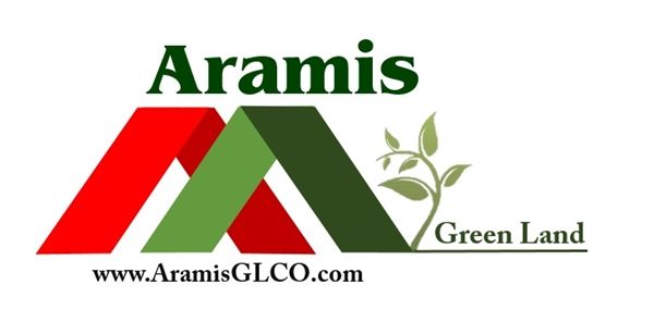 ARAMIS Group