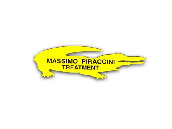 Massimo Piraccini Srl