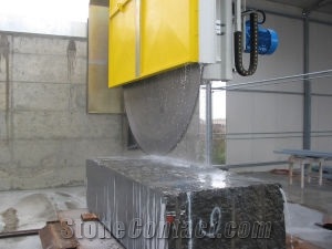 T30 S Electronic Giant Disc Saw