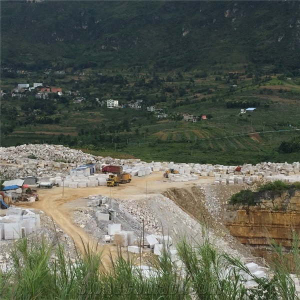 Wooden White Marble Quarry
