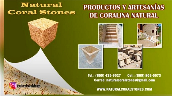 Natural Coral Stones