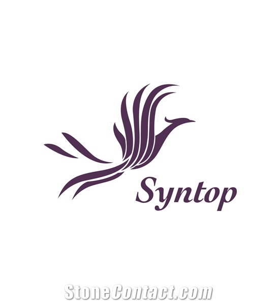 Syntop Chemical Co Ltd