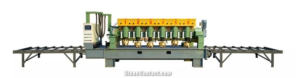 XL-6 Continuous Litchi Surface Machine