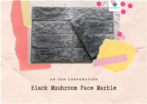 Hot Black Mushroom Face Marble ASCdl007