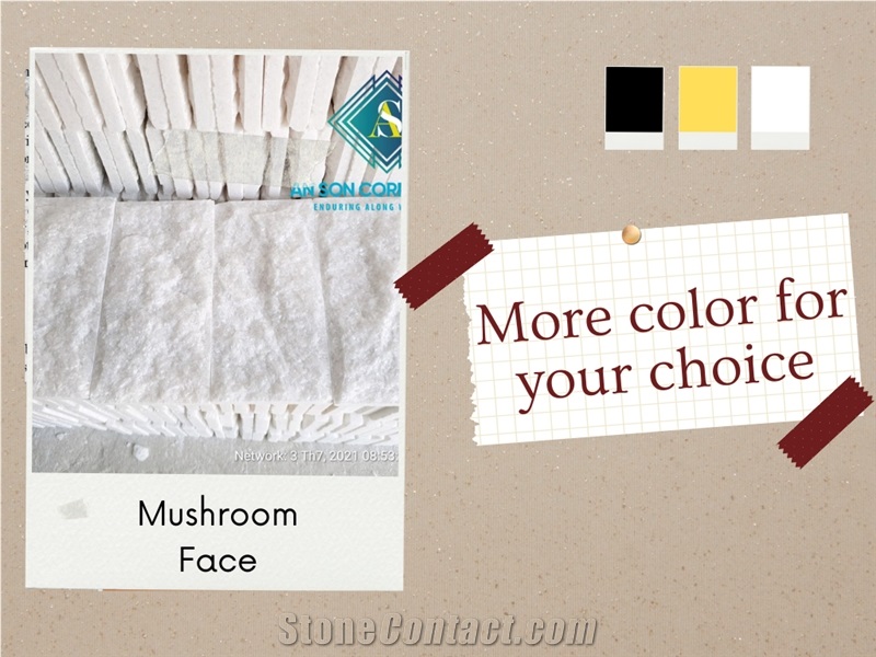 Multicolor For Your Homes/Mushroom Face