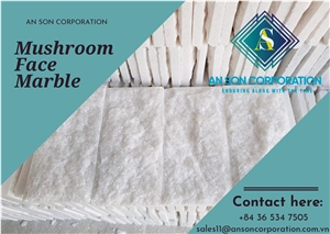 Split Wall Stone, Hot White Mushroom Face Marble ASCdl009