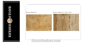 Dark Brown Travertine-Medium Travertine Brown