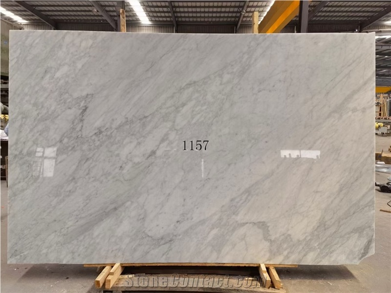 Bianco Carrara Statuarietto Marble  Tipo Venato wall tile 