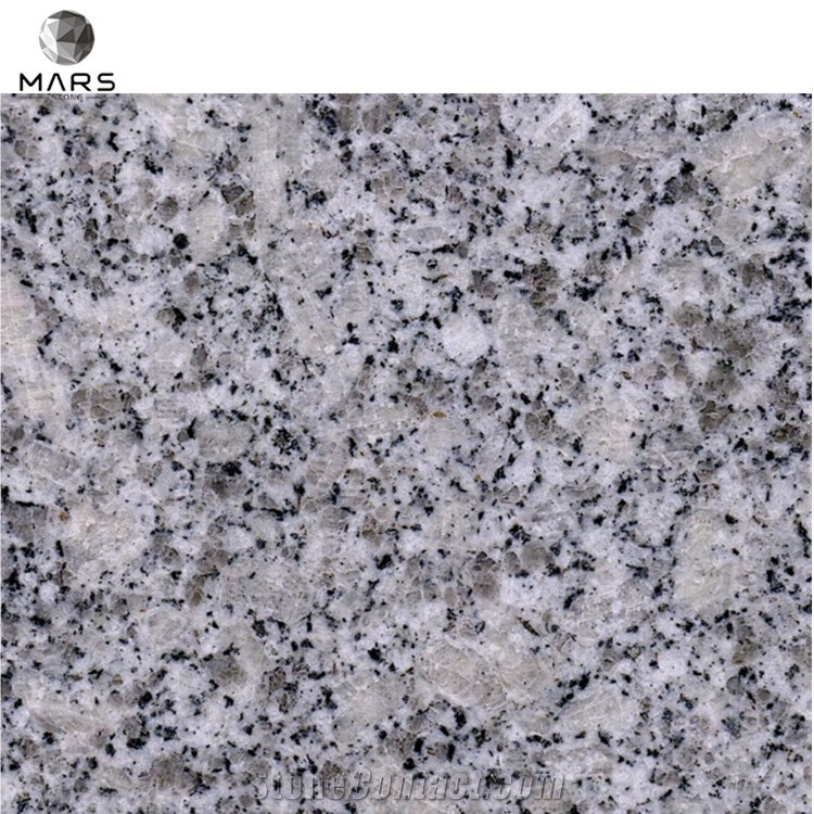 Natural Light Grey Bianco Sardo Granite Stone countertops