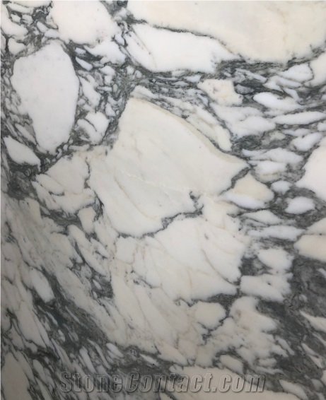 Chinese Arabescato Marble Cheap Price 
