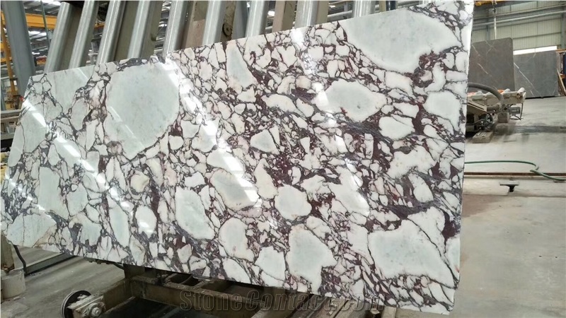 Export Arabescato Piana Marble Tiles Slabs 