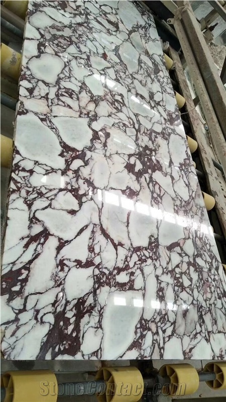 violet -ink veins Arabescato Meraviglioso marble 