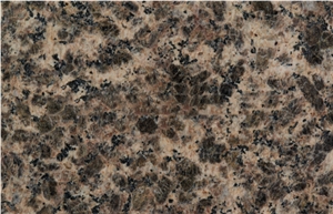 China Factory Stepping Stone With Different Type Granite