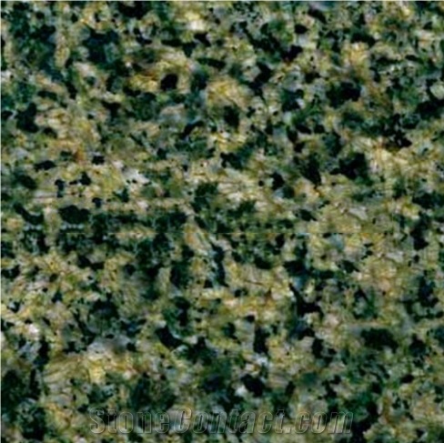 China Green Granite Countertop And Tile Slabs Etc