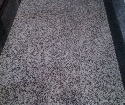 Chinese Granite G439 Granite Slab And Tile