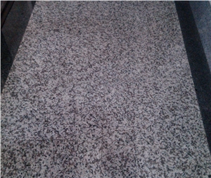 Chinese Granite G439 Granite Slab And Tile