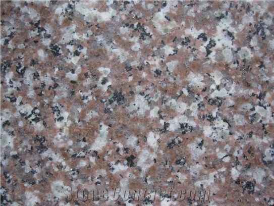 Misty Brown G664 Granite