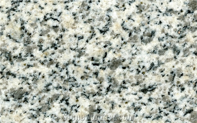 Silver White Granite Tiles & Slabs