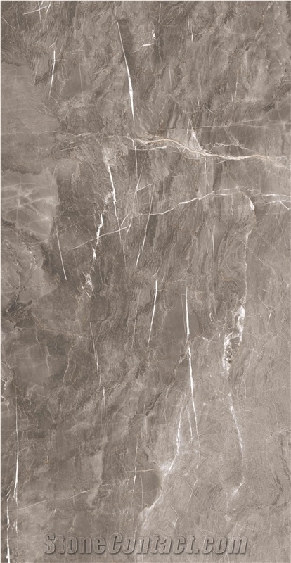 Luxury Geographical Stone Look Sintered Slab 5-JH241216