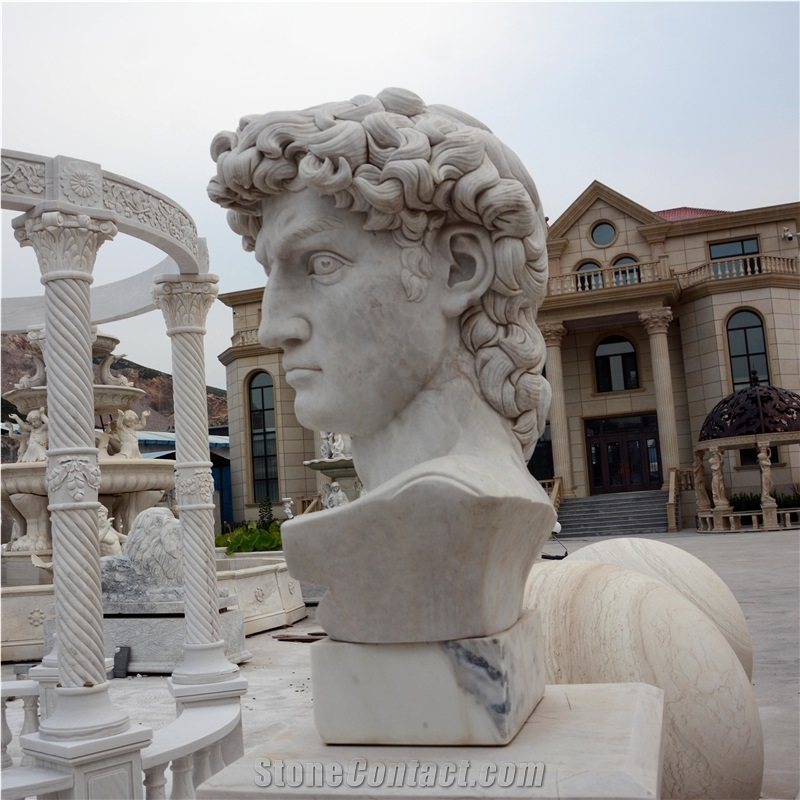David Bust In White Marble