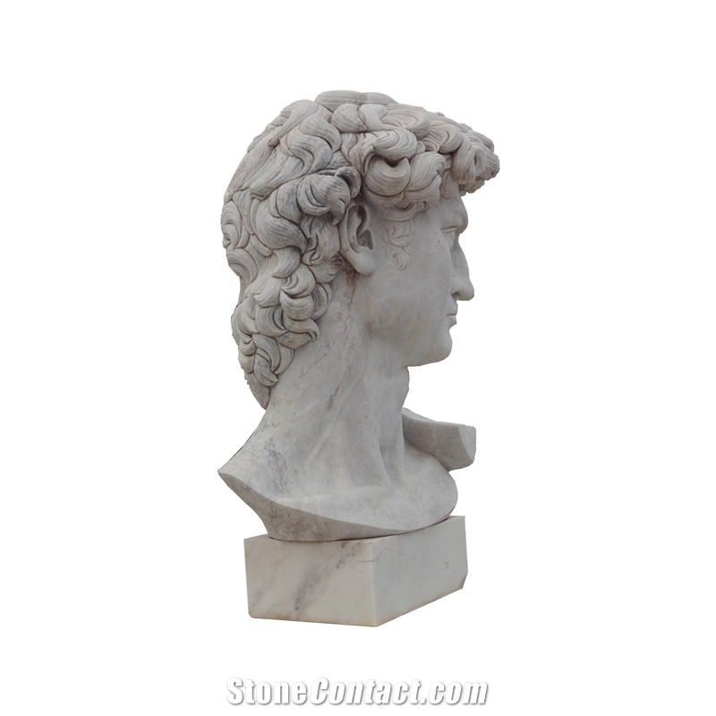 David Bust In White Marble