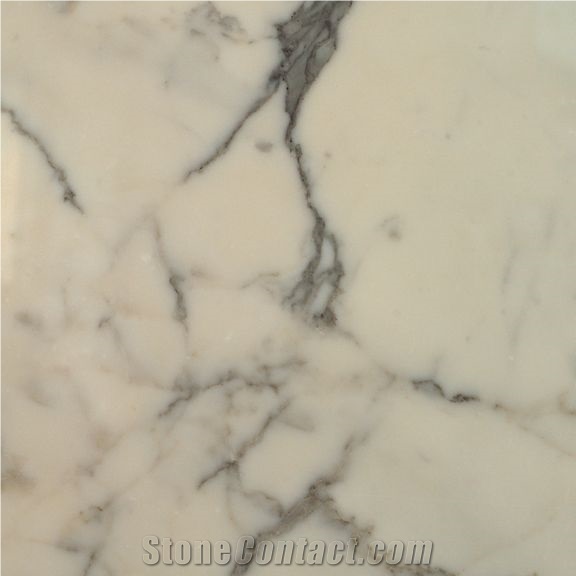 Bianco Statuario Marble Polished Slabs