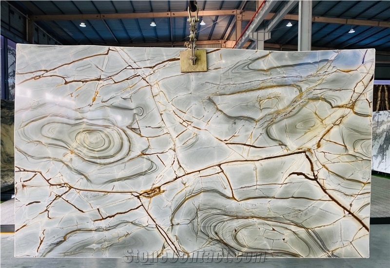 Rome Impression High-End Bookmatched Wall Panels