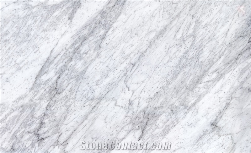 Bianco Carrara Venato White Marble For Wall And Floor Decor
