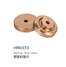 Backup Ring Valve