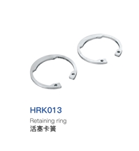 Retaining Ring