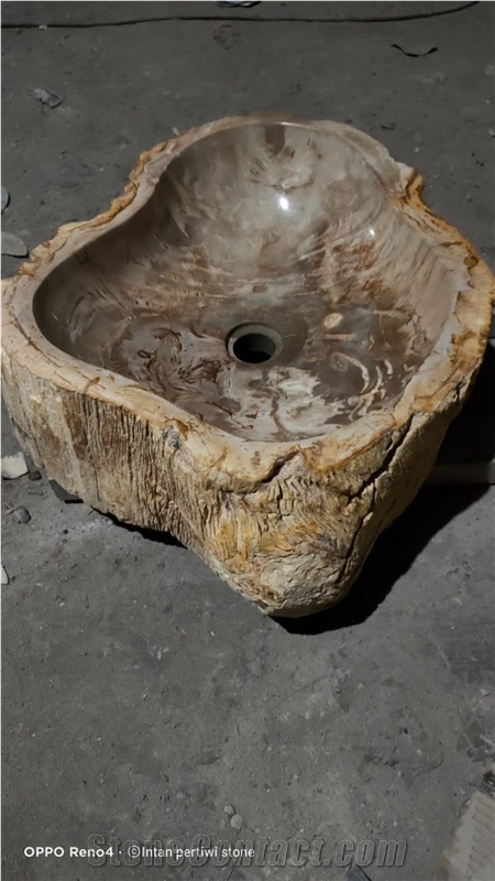 Petrified Wood Stone Sinks, Basins