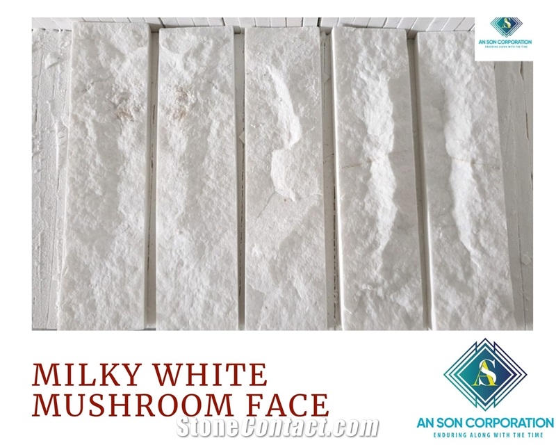 Hot Sale - Milky White Mushroom Face 