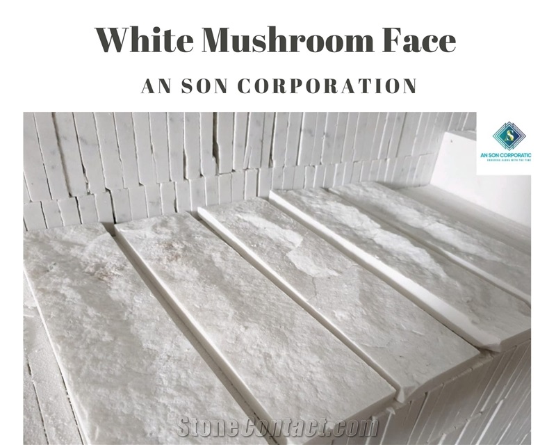 Hot Sale - White Mushroom Face Wall Panel 