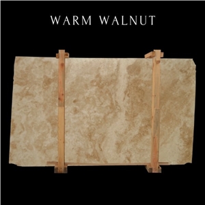 Medium Travertine- Brown Travertine