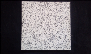 Snowy White Natanz Granite Honed Tiles