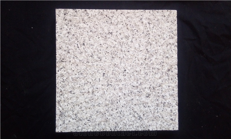 Snowy White Natanz Granite Honed Tiles