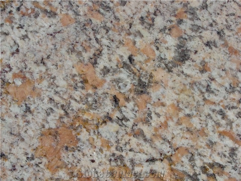 Coral Spring Granite Slab