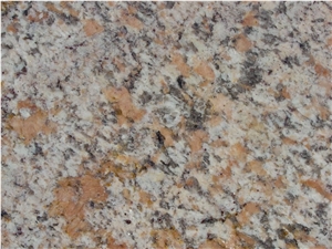 Coral Spring Granite Slab
