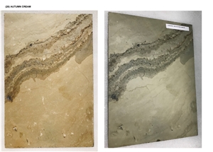 Slate Veneer Autumn Cream