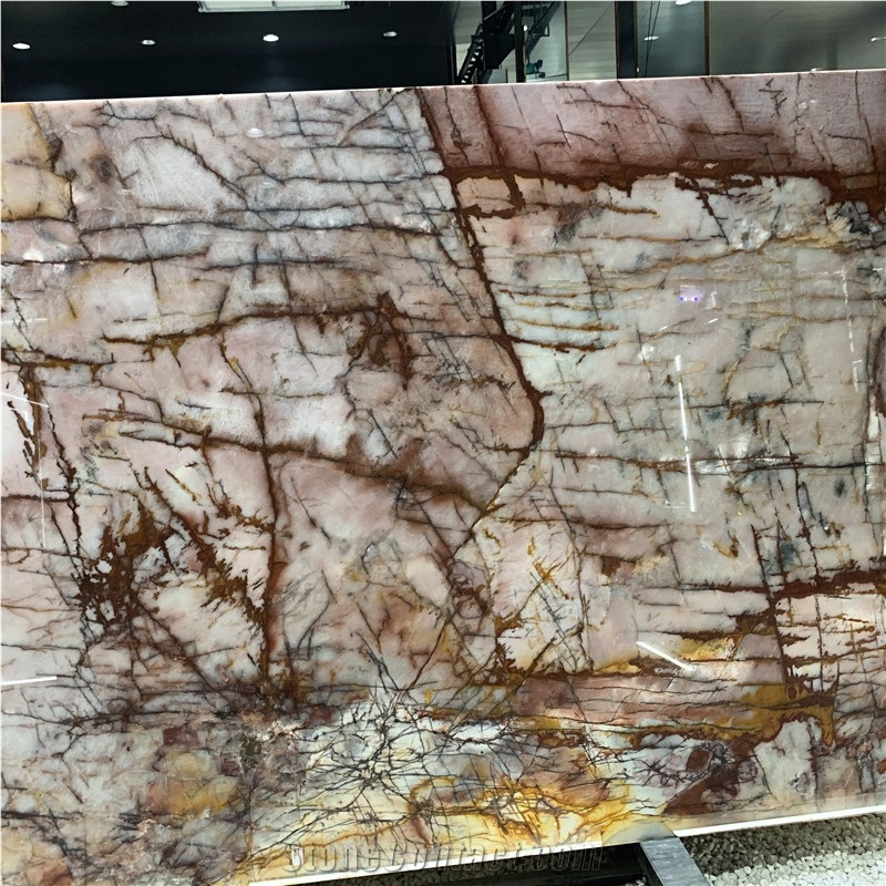 Brazil Natural Bookmathced Cosmopolitan Quartzite For Wall