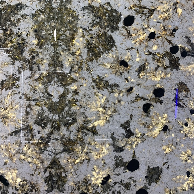 Exotic Stone Natural Alpinus Granite Super Crystal Wall Tile