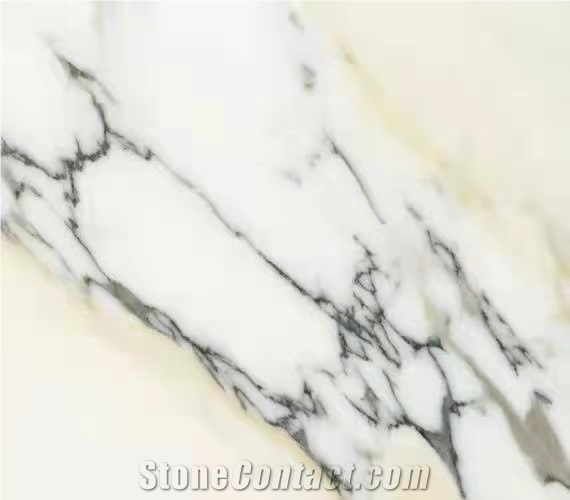 Calacatta Bianco Paonazzo Marble Tiles Bookmatched