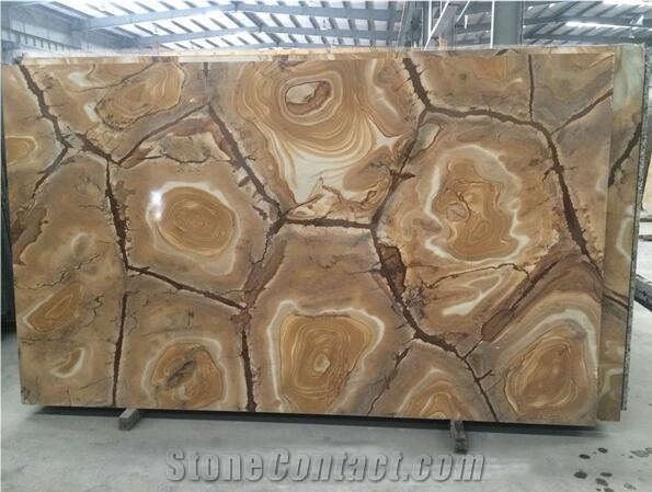 Stone Wood Quartzite Slabs & Tiles, Brazil Yellow Quartzite