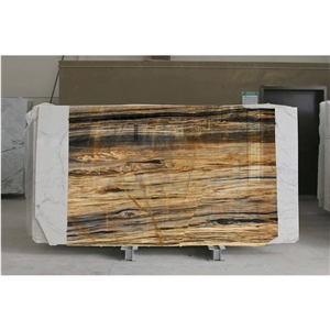 Asarya Marble Slabs