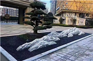 Landscaping