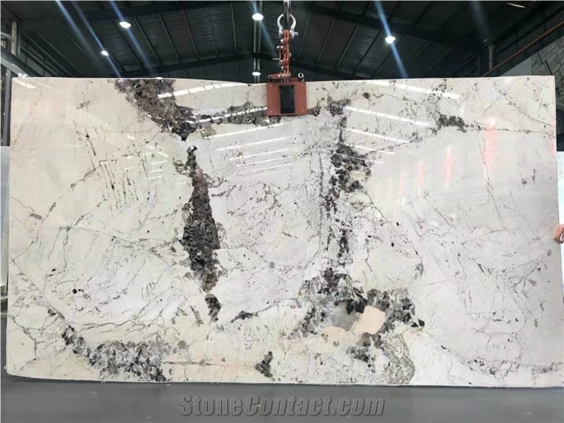 Brazil Pandora Granite White Granite Polished Slab